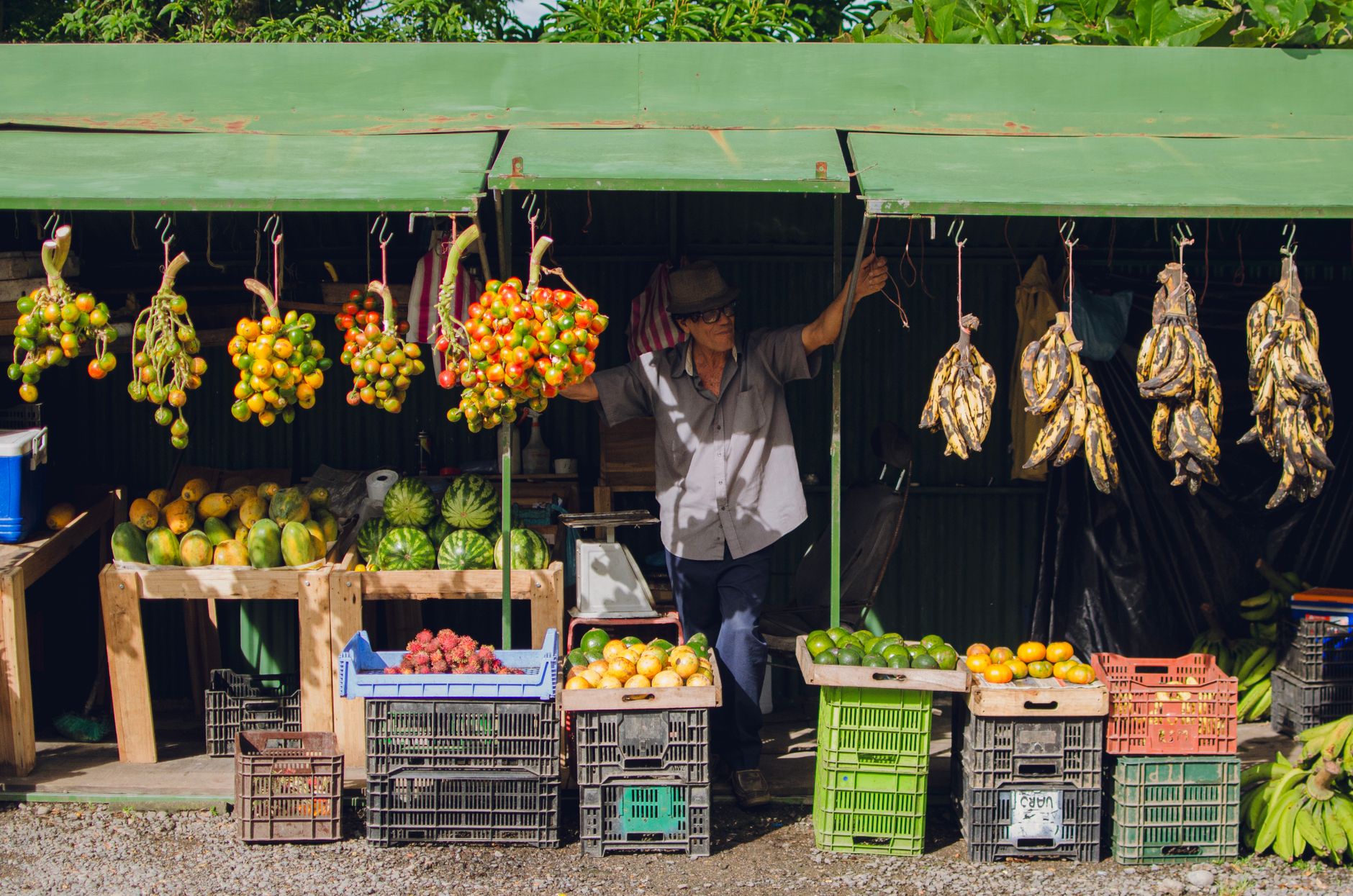 Vibrant fruit stand in Puntarenas, Costa Rica with bananas, tomatoes, and more.